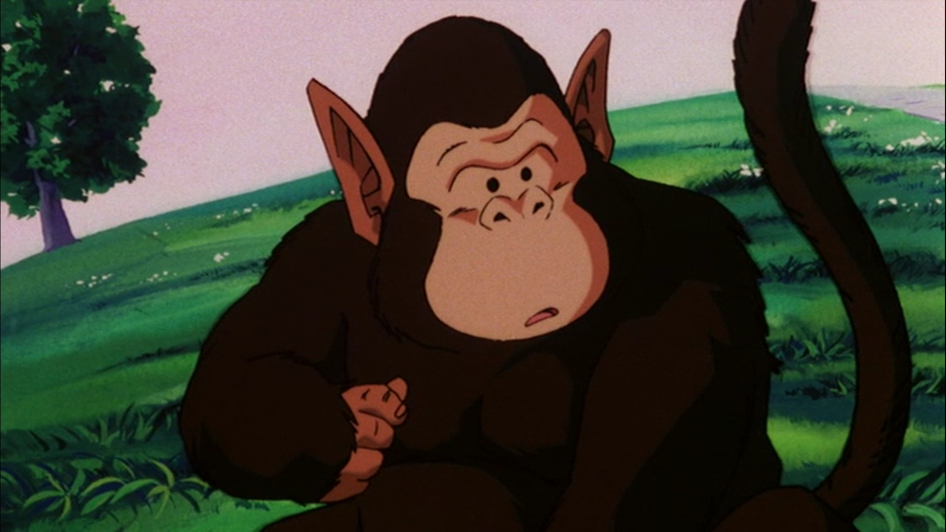 Index Of Content Dragon Ball Z Moetsukiro Nessen Ressen